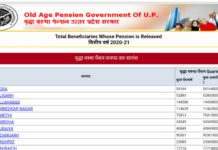 Old Age Pension Government