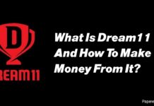 What Is Dream11 And How To Make Money From It