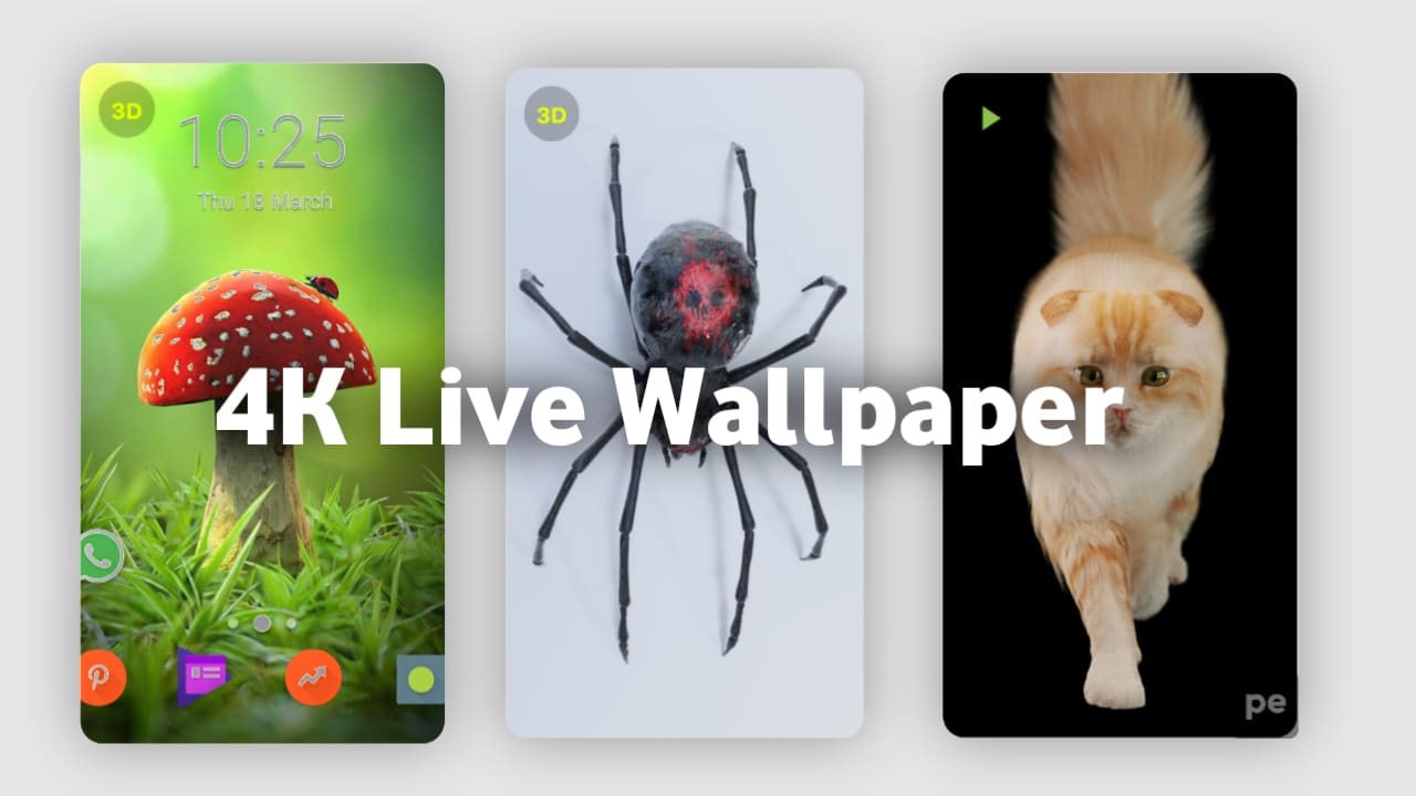 4K Live Wallpaper All Android Device App Full Inforamtion