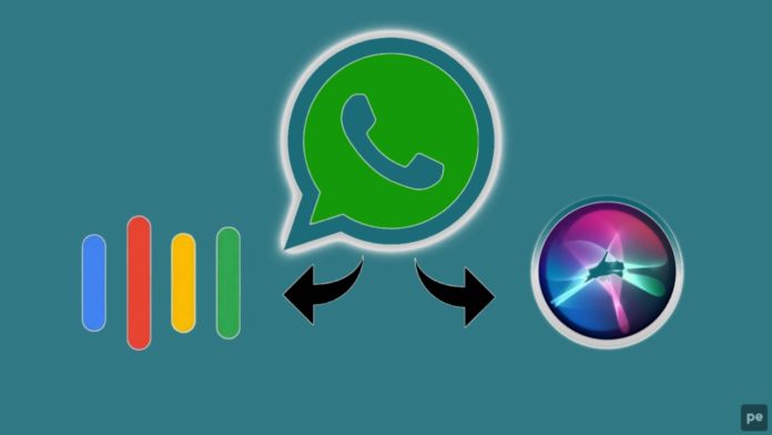 Send Audios On WhatsApp