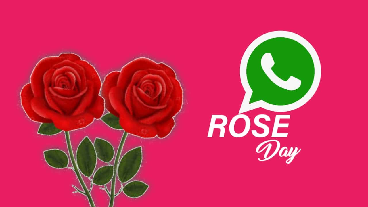 Send Rose Day Sticker