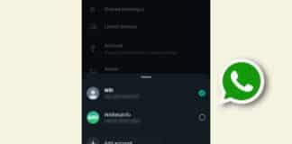 WhatsApp Multi-Account Feature