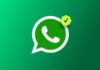 Get Green Tick Verification WhatsApp