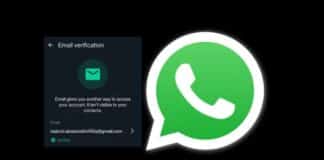 WhatsApp Email Verification