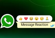 Use Message Reactions WhatsApp
