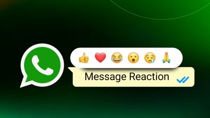 Use Message Reactions WhatsApp