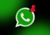 Pin Message WhatsApp