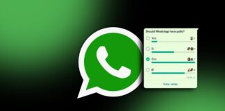 Create WhatsApp Polls